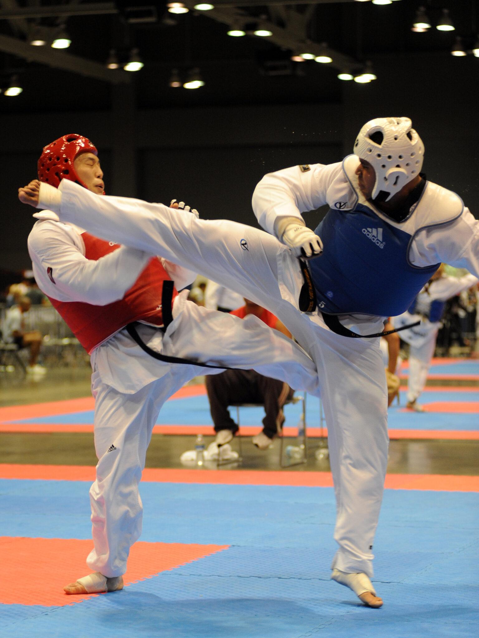 Taekwondo Kick 1537x2048 