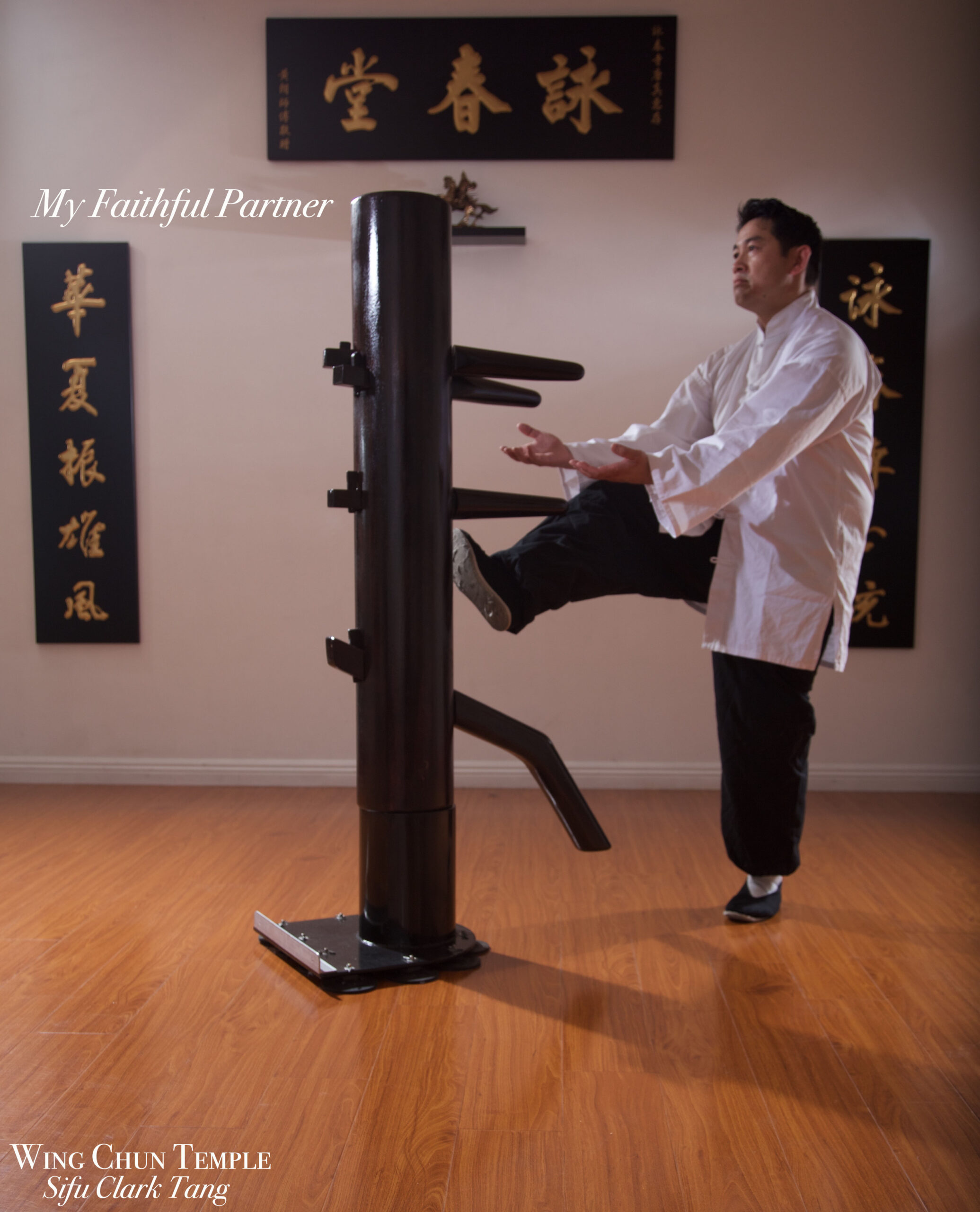 Martial Arts Wooden Dummy For Training