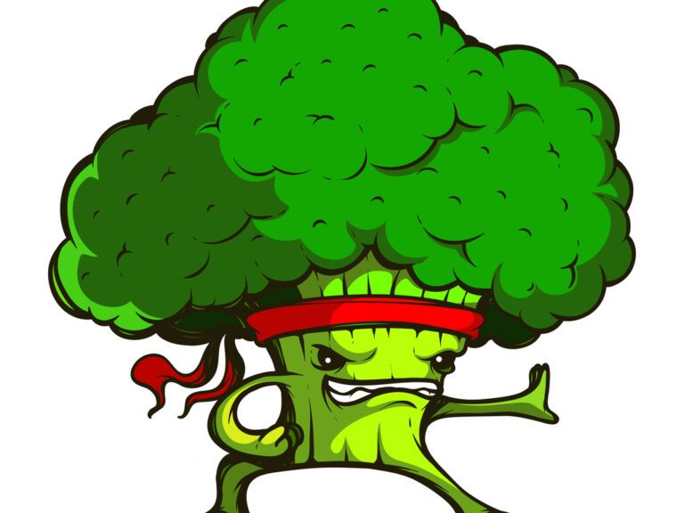 Martial Arts Diet Plan