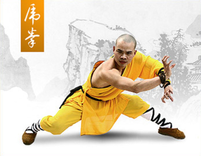 the art of shaolin kung fu by wong kiew kit pdf